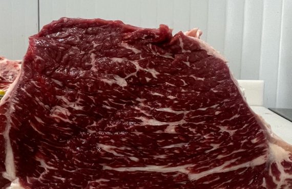pulpa angus