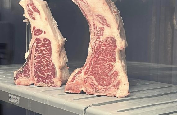 tbone angus la maturat